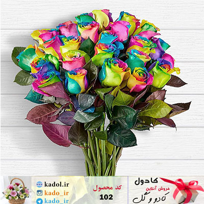دسته گل رز هفت رنگ دسته گل رز هفت رنگ